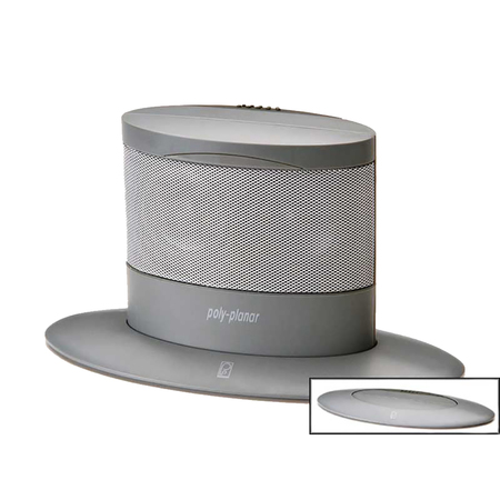 POLY-PLANAR Oval Waterproof Oval Popup Spa Speaker MA7020G